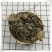 青天葵独脚天葵珍珠叶半边伞非野生中药材