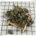 青天葵独脚天葵珍珠叶半边伞非野生中药材