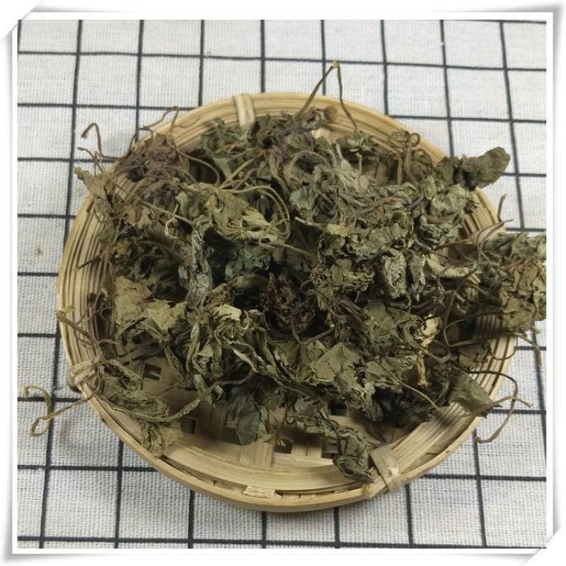 青天葵独脚天葵珍珠叶半边伞非野生中药材