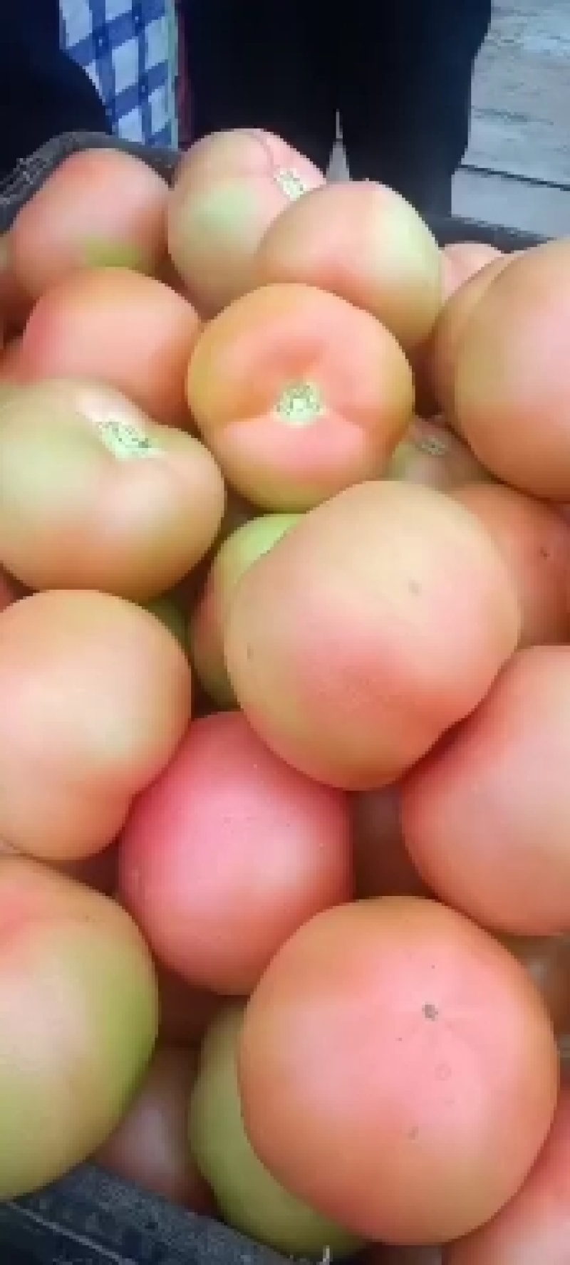 货好要的可以联系
