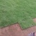 绿化草皮