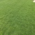 【荐】马尼拉草块大草皮草块草卷基地发货售后无忧规格齐全