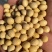 巴西乌克兰非转基因大豆，榨油厂专用豆，饲料加工豆制品加工