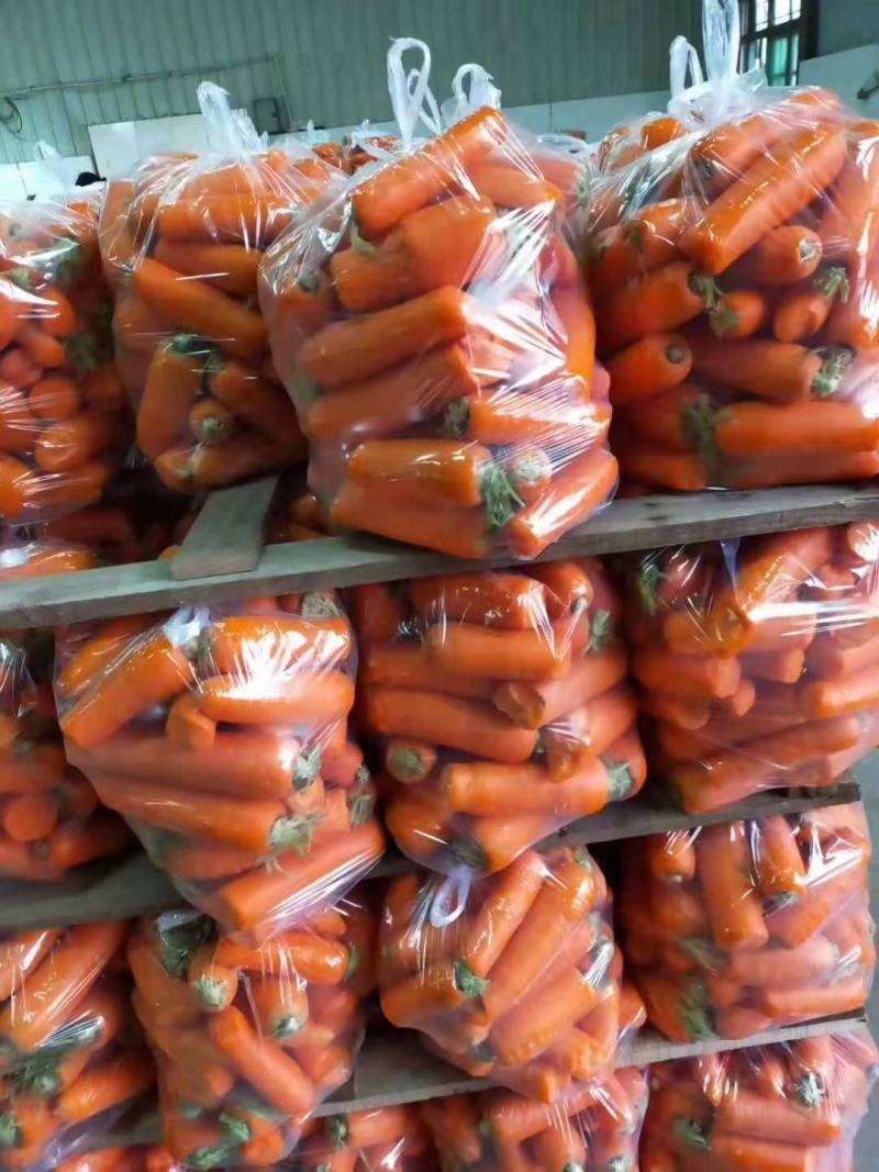 《优惠》新鲜次品胡萝卜，养殖用胡萝卜，加工厂货，全年供应