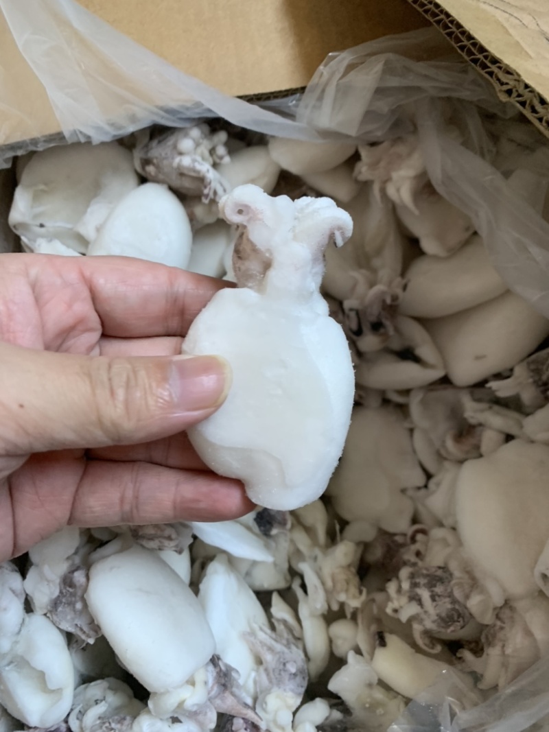 北海一厂家直销次品墨鱼仔、次墨丁，货源充足，量大价优