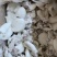 北海一厂家直销次品墨鱼仔、次墨丁，货源充足，量大价优