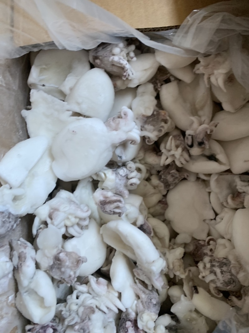 北海一厂家直销次品墨鱼仔、次墨丁，货源充足，量大价优