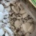 北海一厂家直销次品墨鱼仔、次墨丁，货源充足，量大价优
