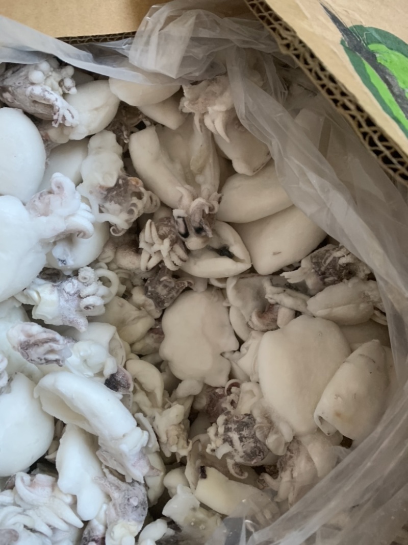北海一厂家直销次品墨鱼仔、次墨丁，货源充足，量大价优