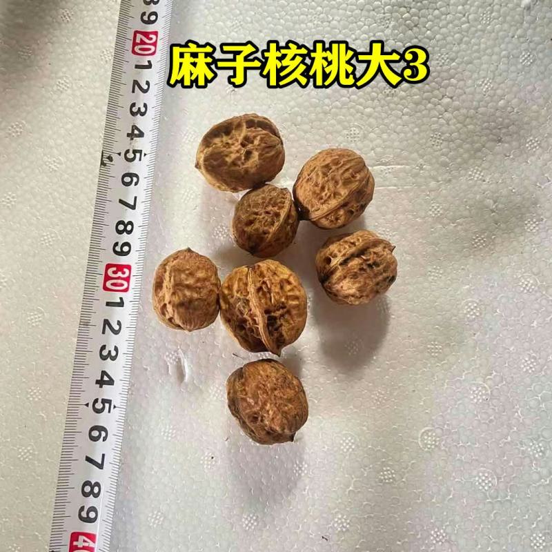 云南麻子核桃薄壳产地直采成都现货批发