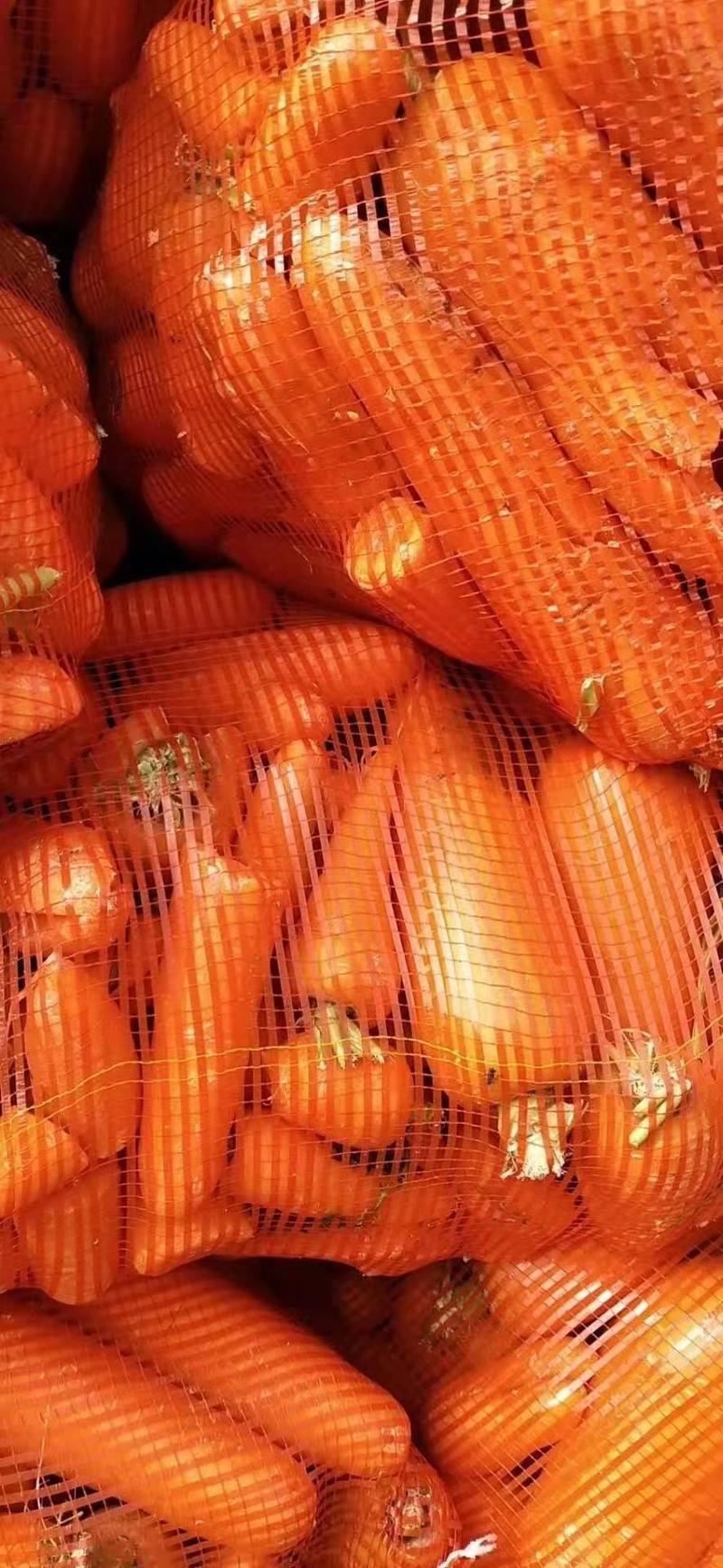 次品新鲜胡萝卜，养殖用胡萝卜，虫，猪，牛，羊，便宜蔬菜