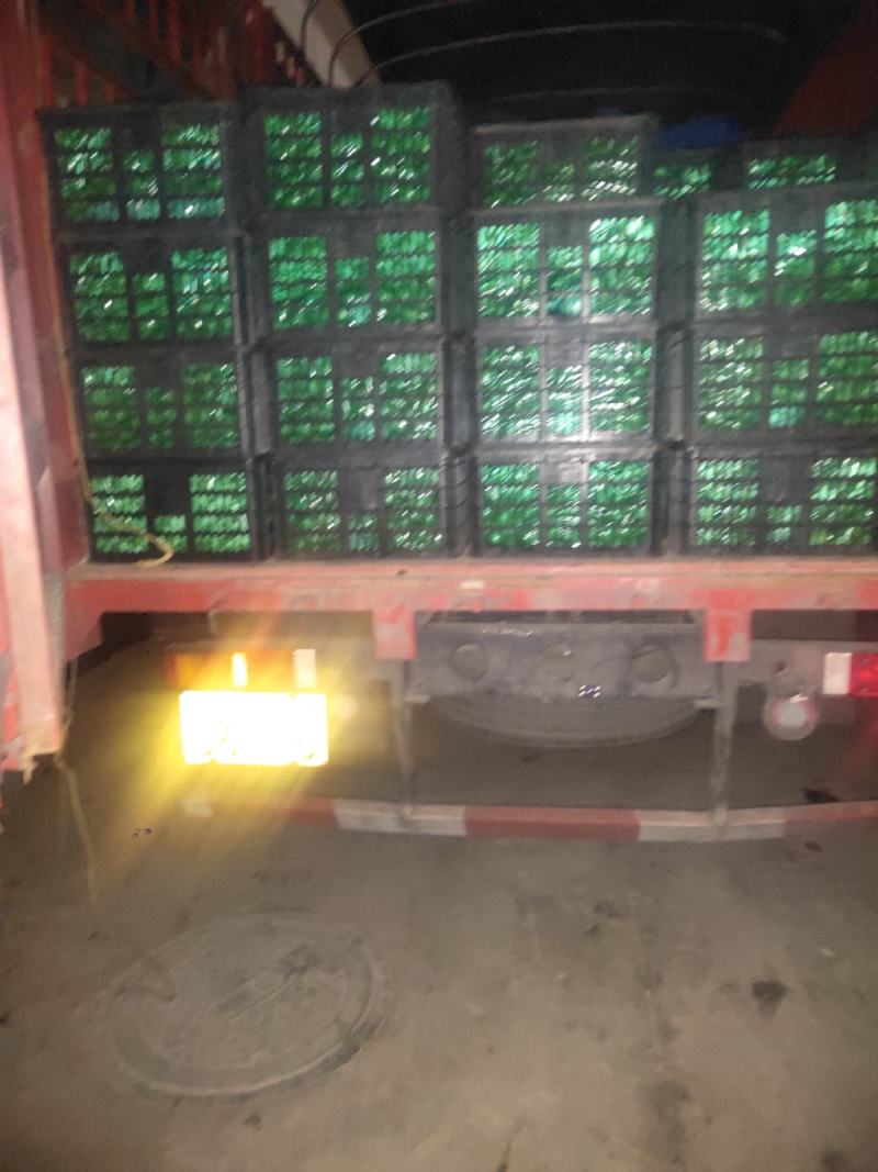 云南青枣香甜脆嫩可视频看货现摘现发应季水果