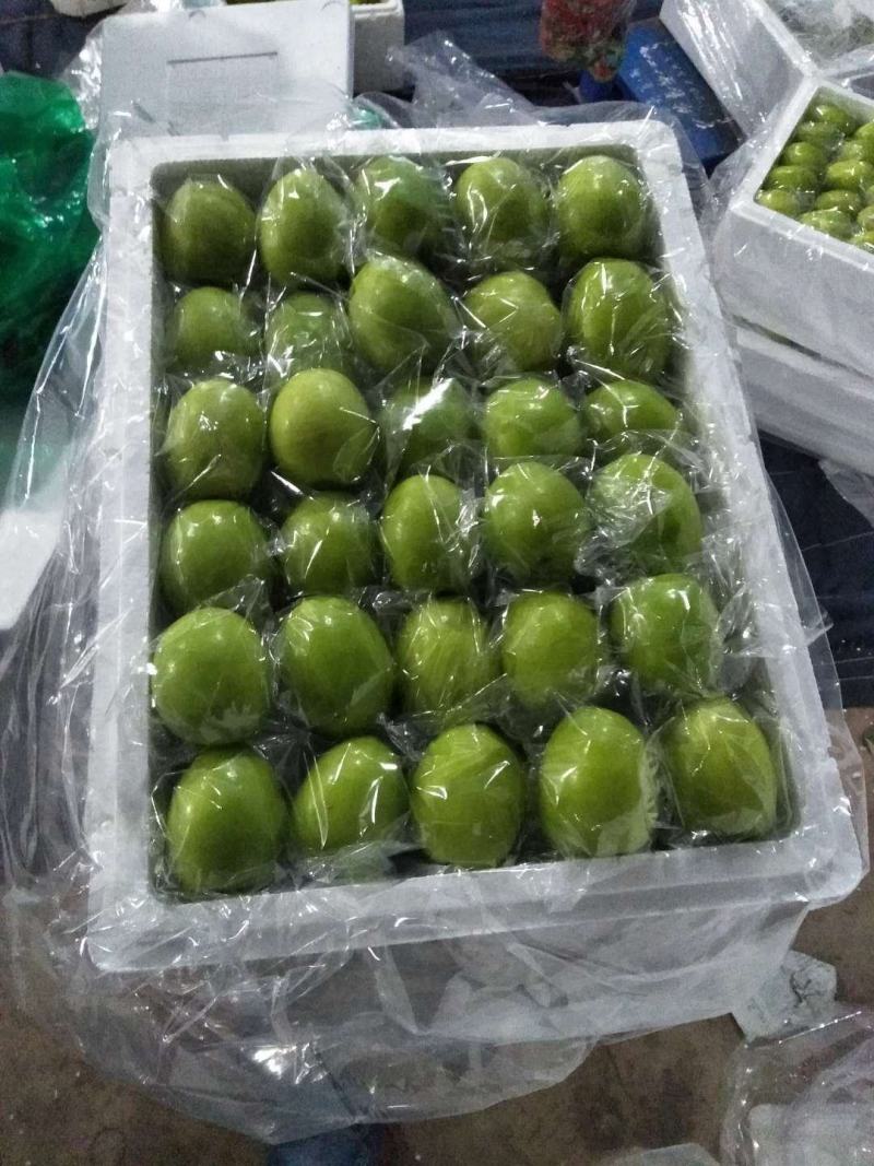 云南青枣香甜脆嫩可视频看货现摘现发应季水果