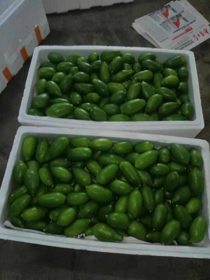 柠檬，广东香水柠檬，台湾香水柠檬，子弹头，货源稳定