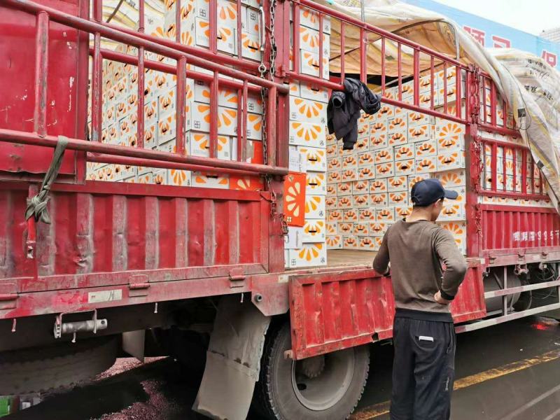 实建褚橙云南冰糖橙礼盒纯甜化渣冰糖橙玉溪冰糖橙