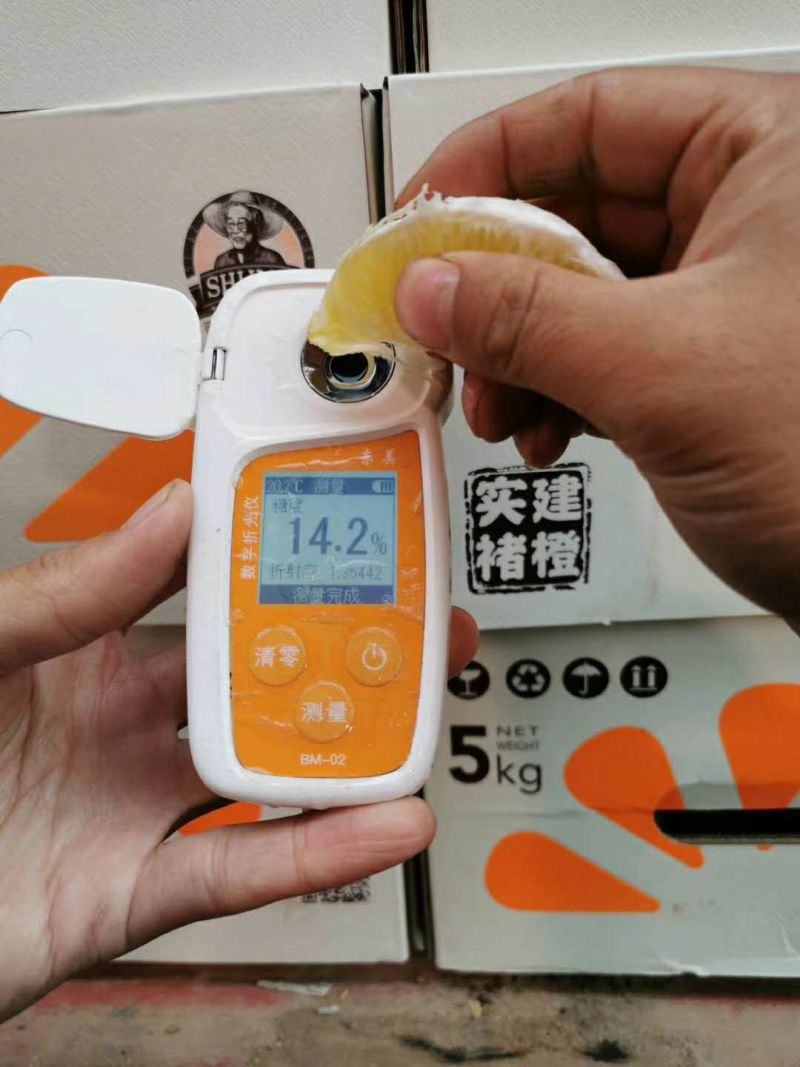 实建褚橙云南冰糖橙礼盒纯甜化渣冰糖橙玉溪冰糖橙