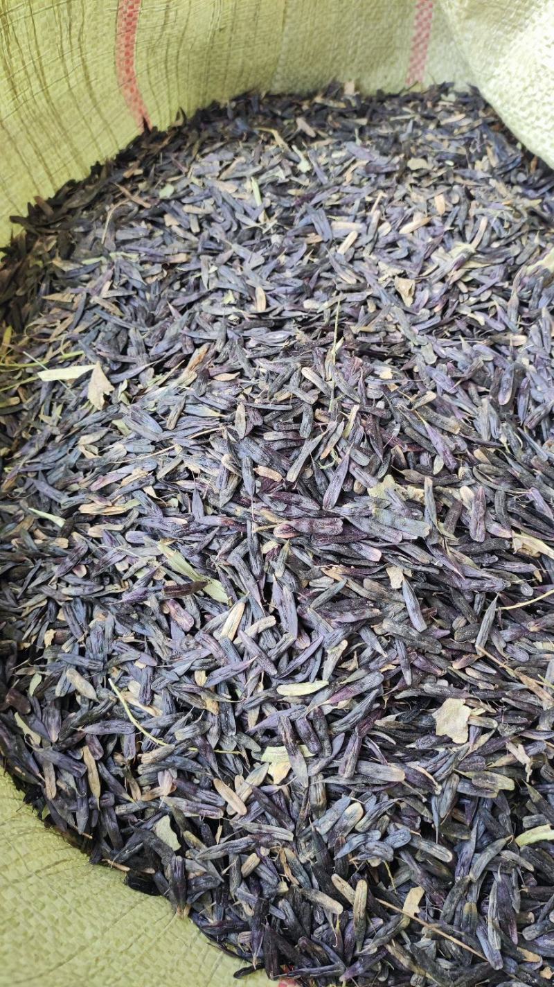 【推荐】板兰根籽出售，量大价优，欢迎进店联系