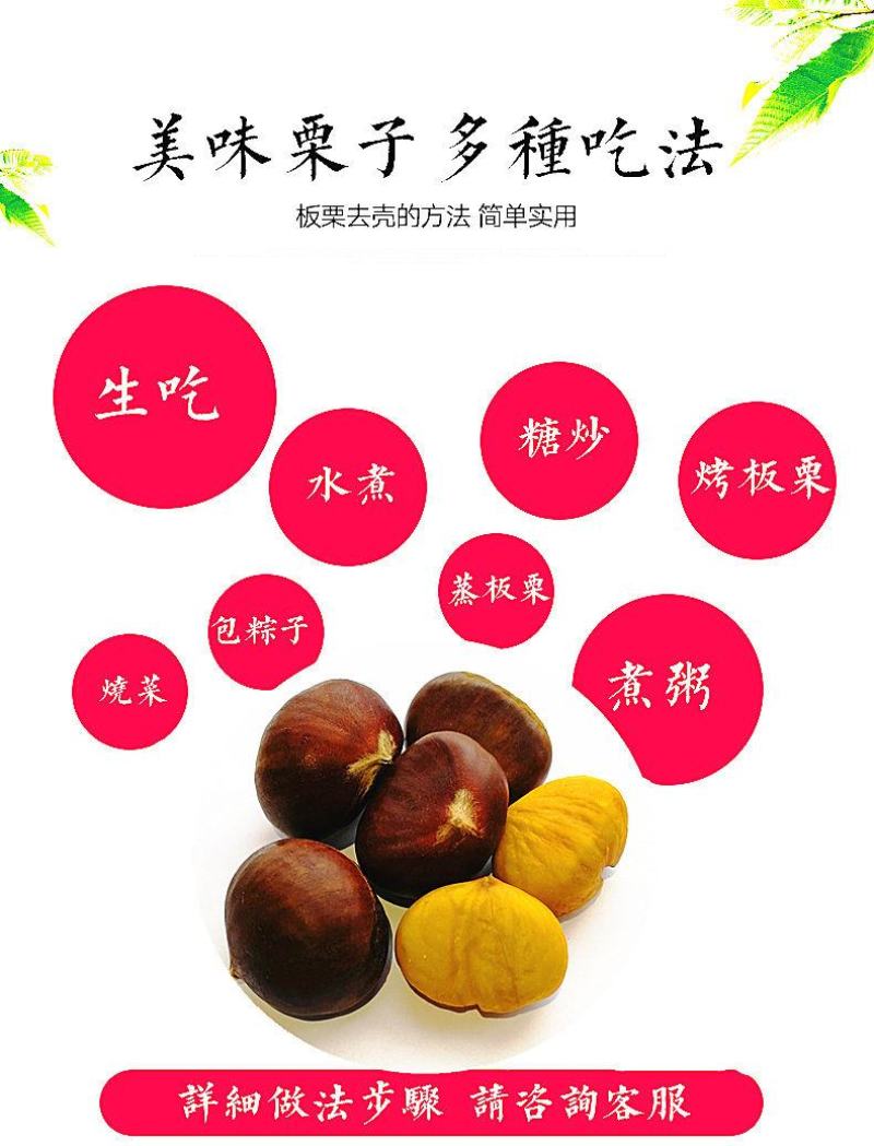 板栗新鲜板栗现摘现发板栗粉糯香板栗大板栗5斤装包邮