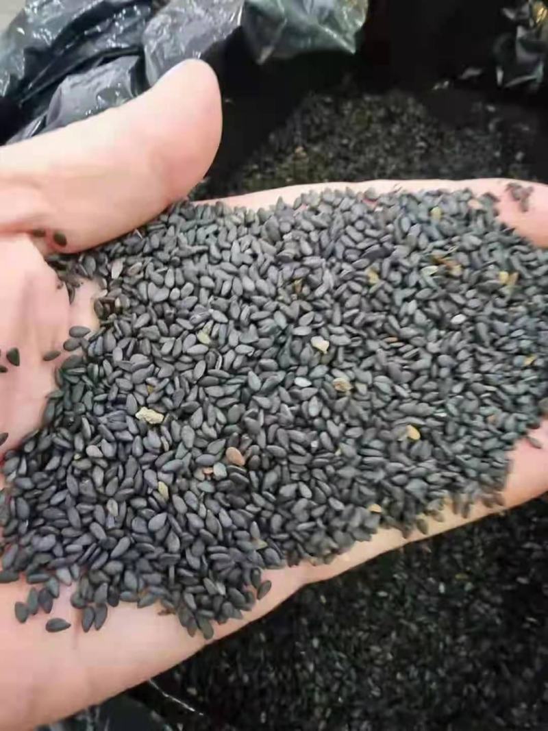 越南进口黑芝麻质量好价格合理有需要的微我