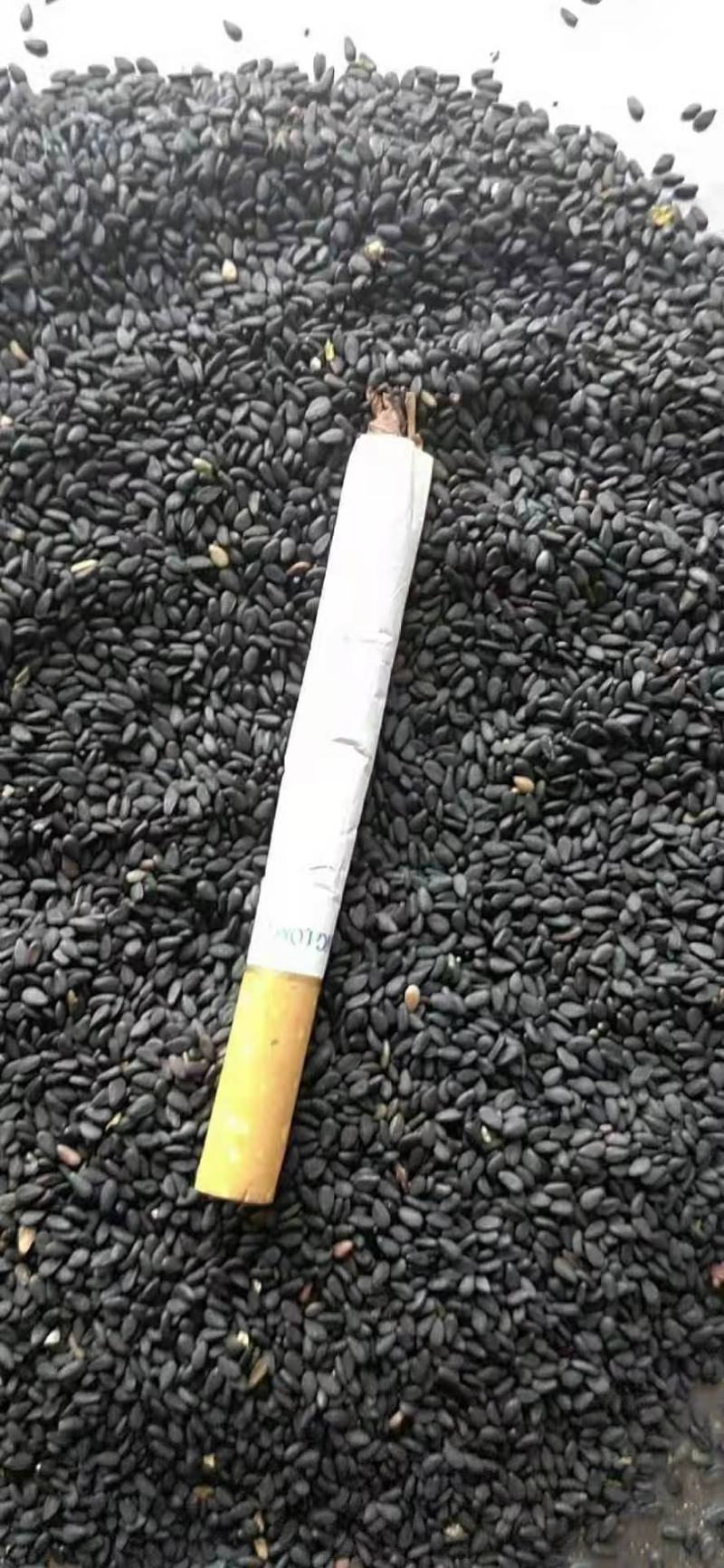 越南进口黑芝麻质量好价格合理有需要的微我