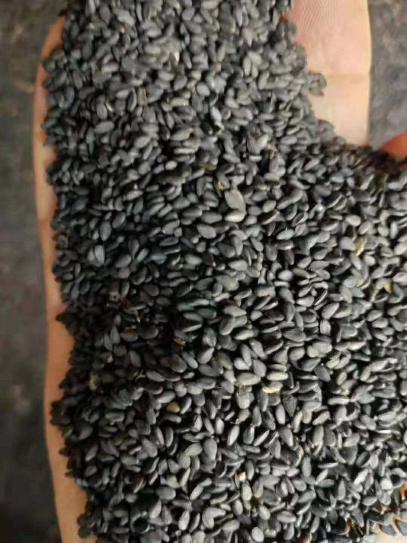 越南进口黑芝麻质量好价格合理有需要的微我
