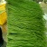 泡豇豆豇豆豇豆豇豆豇豆豇豆豇豆豇豆豇豆豇豆豇豆豇