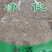 白花蛇舌草中草药常年经营各种中药材