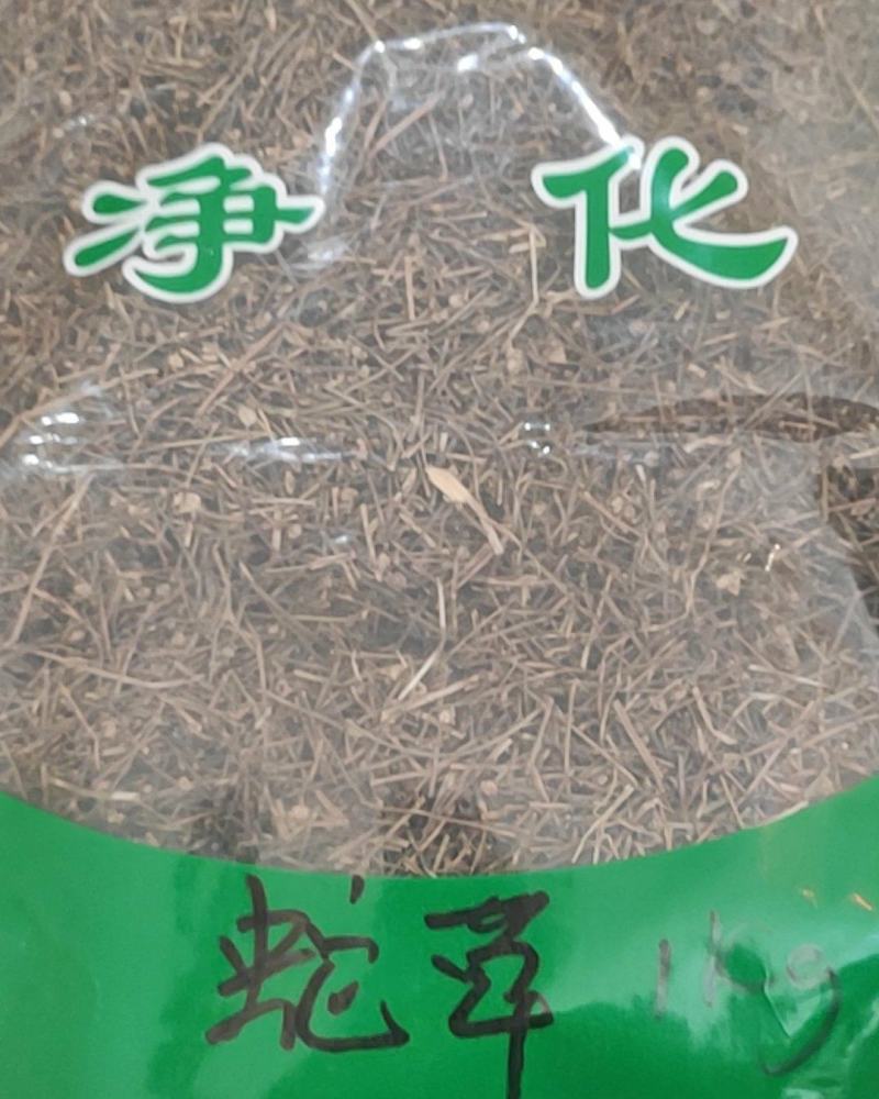 白花蛇舌草中草药常年经营各种中药材