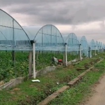 暖棚，养殖棚，温室大棚，热镀锌管