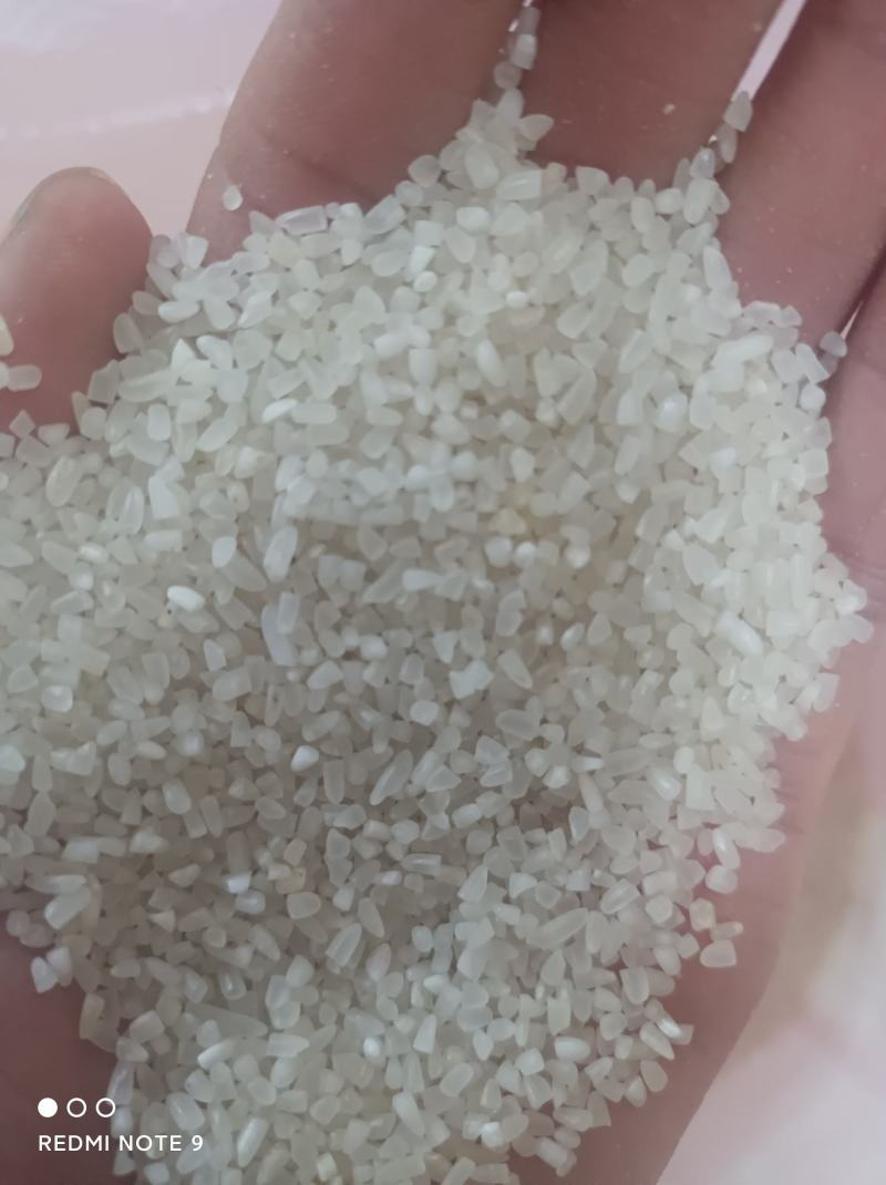 碎米大碎熬粥酿酒都不错