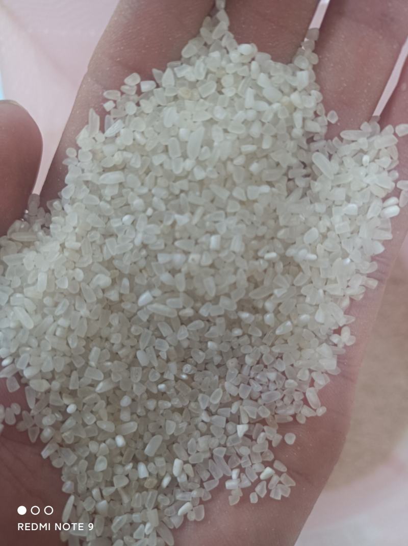 碎米大碎熬粥酿酒都不错