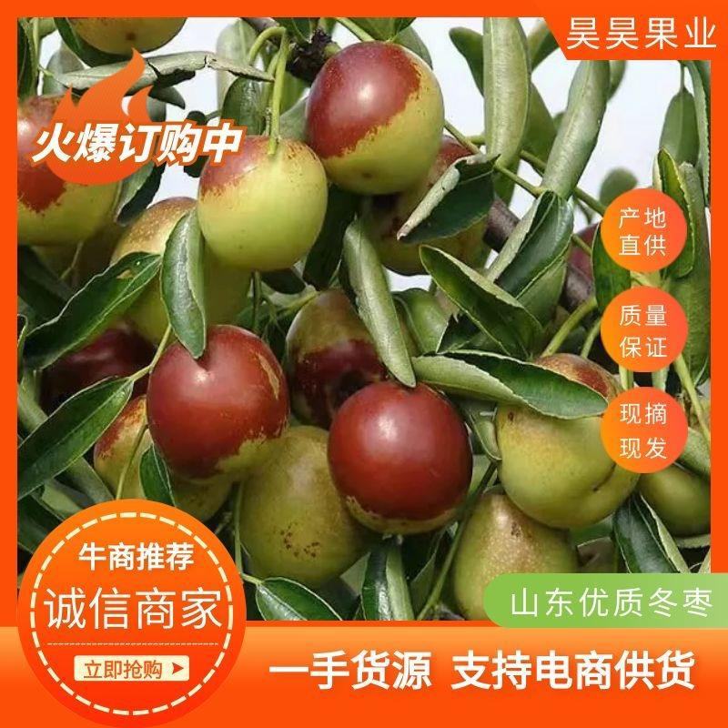 山东冬枣专业代办团队，口感脆甜多汁，甜度32个糖一件代发