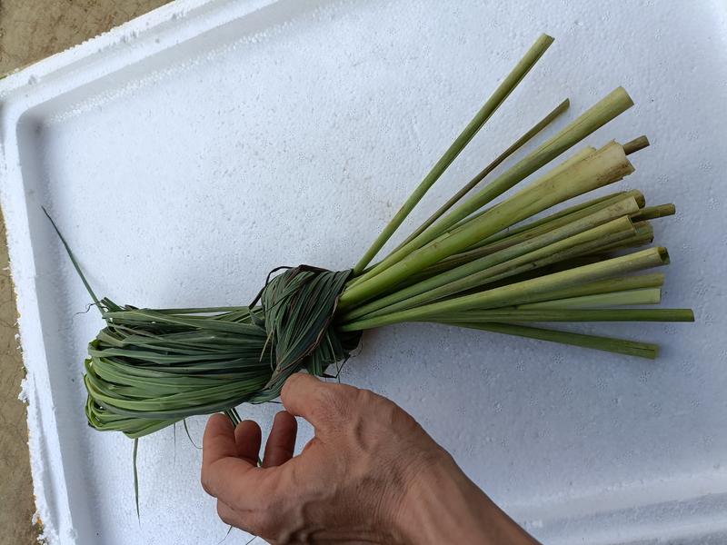 自家基地直供新鲜香茅草叶傣式泰式烤鸡烤鱼食材