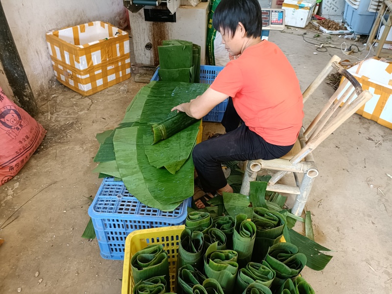 基地直供新鲜芭蕉叶包粽子包烧摆盘包邮