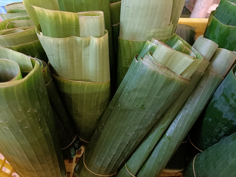 基地直供新鲜芭蕉叶包粽子包烧摆盘包邮