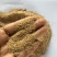 东北除尘过筛稻壳粉厂家直销一手货源量大从优