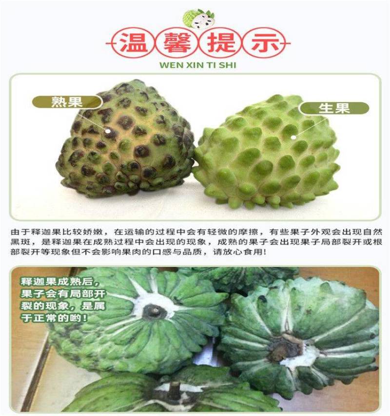 【有好货一件代发】凤梨释迦5斤包邮包售后一件代发