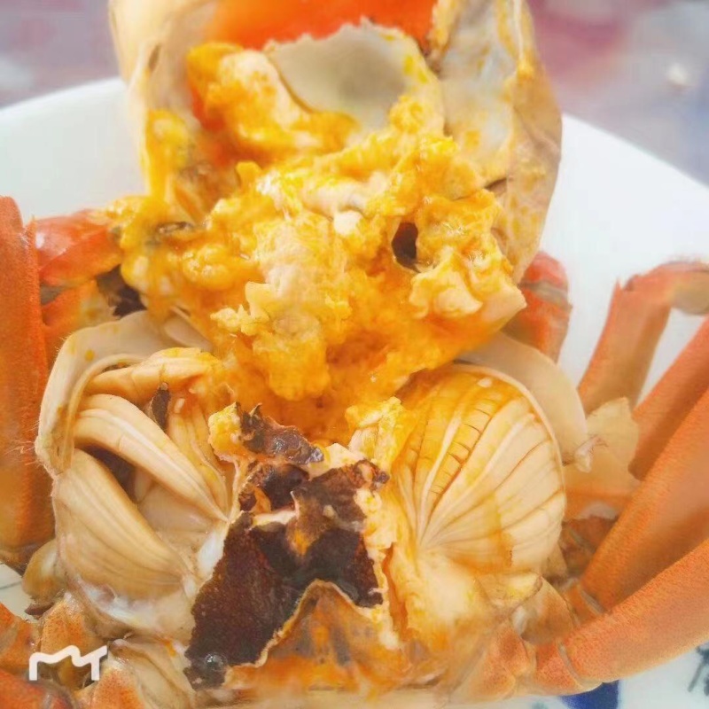 大闸蟹大水面养殖大闸蟹黄多肥美耐运输