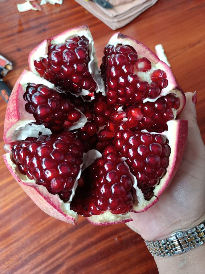 软籽石榴