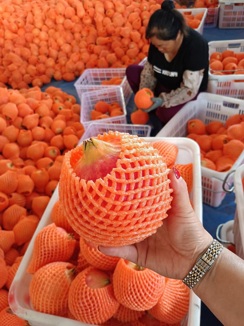 软籽石榴