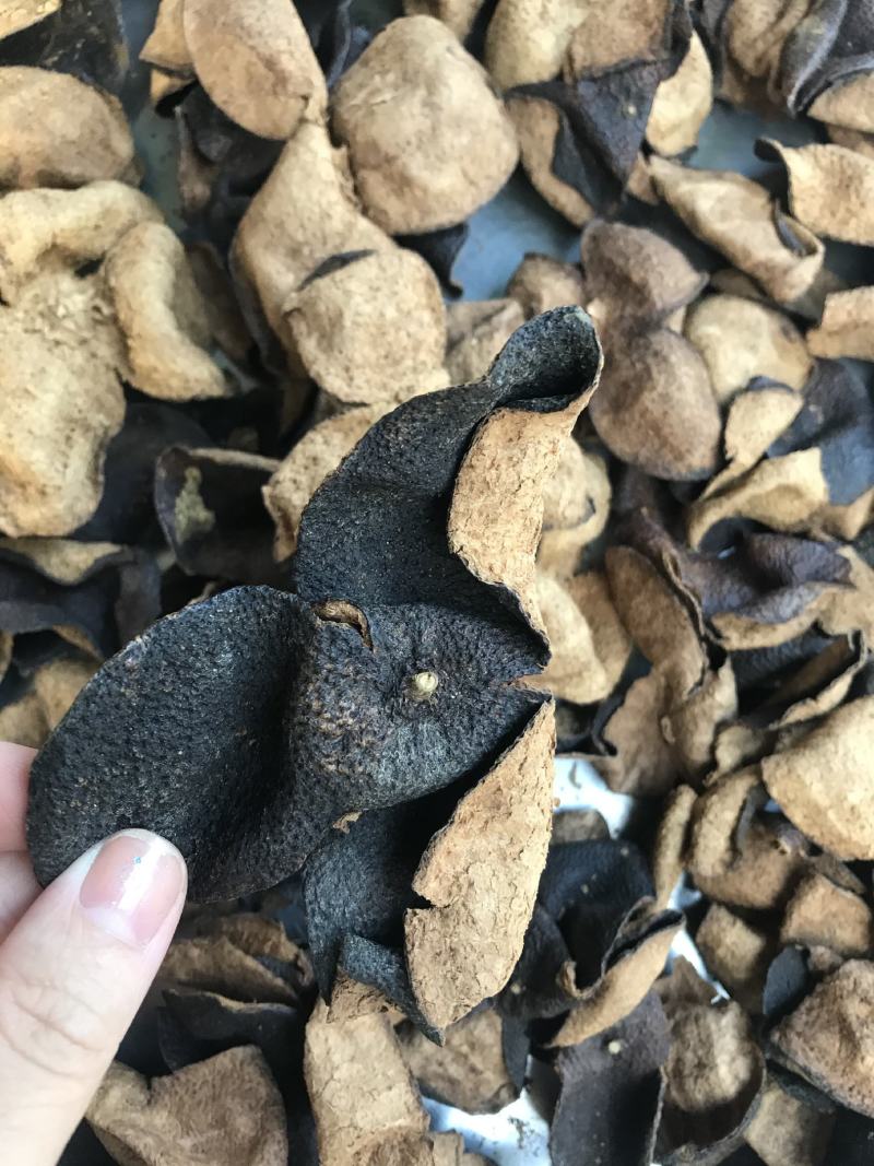 正宗新会陈年陈皮十年陈皮扎皮散皮碎皮都有