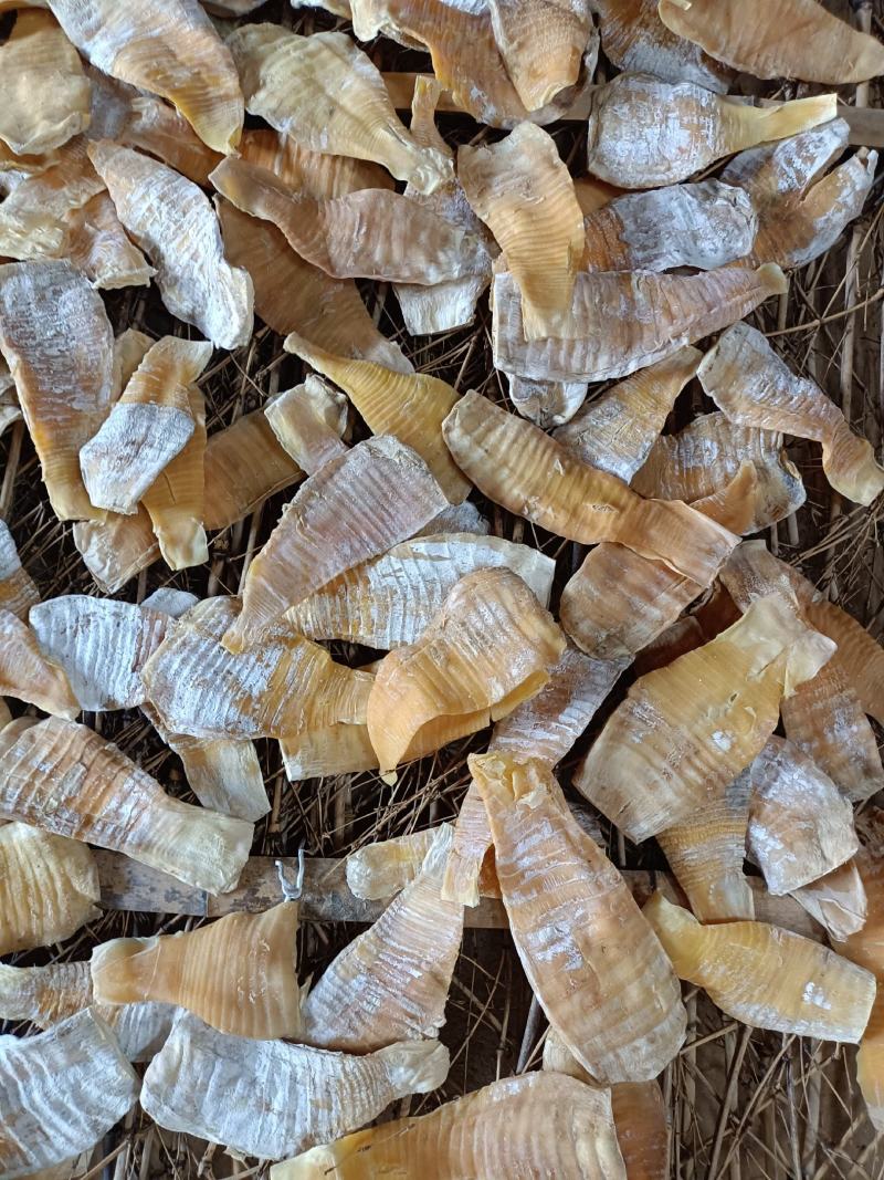凤尾笋干新货嫩笋片笋干冬笋笋尖毛竹笋楠竹笋类食材量大批发