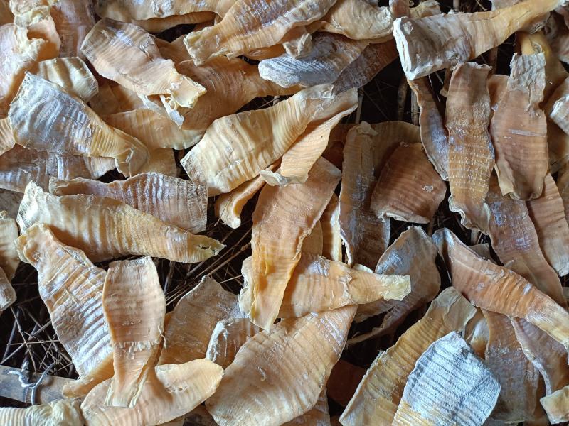 凤尾笋干新货嫩笋片笋干冬笋笋尖毛竹笋楠竹笋类食材量大批发