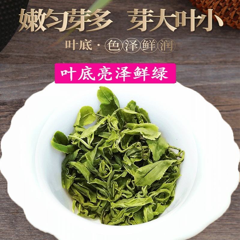 绿茶2025新茶明前春茶贵州高山茶云雾茶浓香耐泡