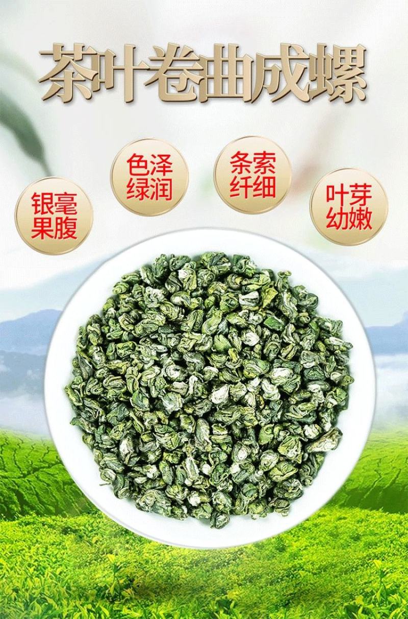 绿茶2025新茶明前春茶贵州高山茶云雾茶浓香耐泡