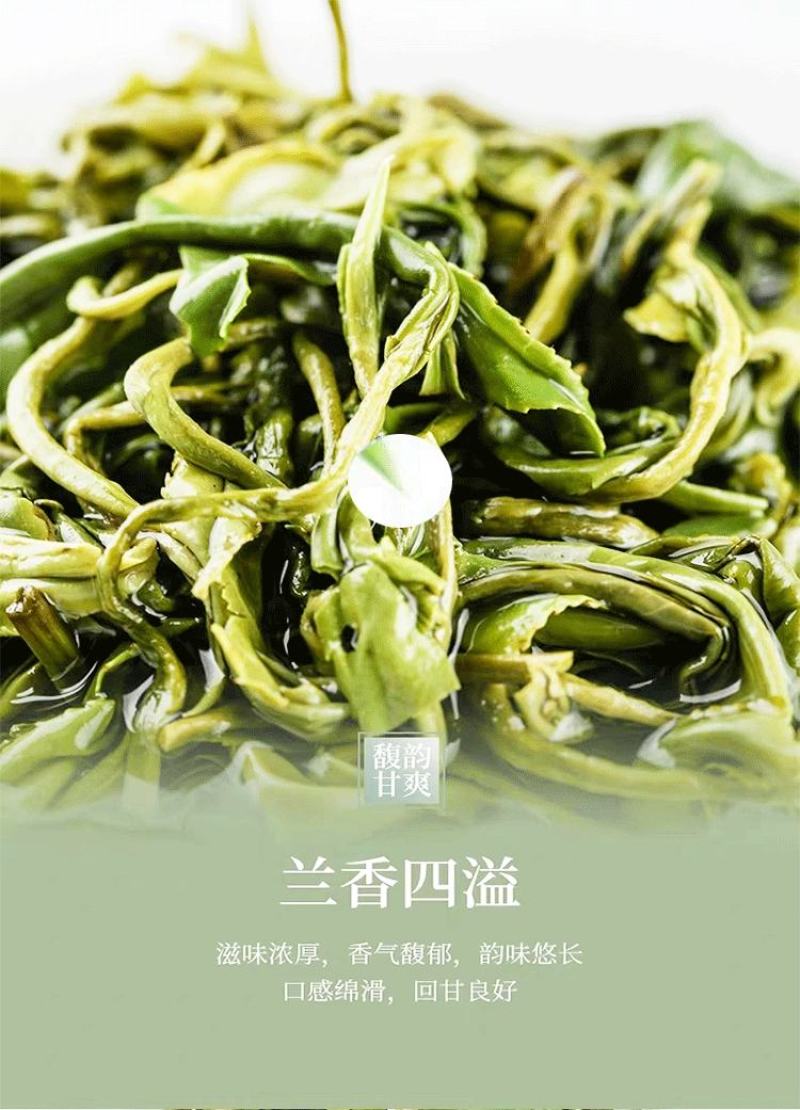绿茶2025新茶明前春茶贵州高山茶云雾茶浓香耐泡