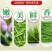 绿茶2025新茶明前春茶贵州高山茶云雾茶浓香耐泡