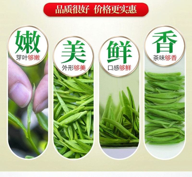 绿茶2025新茶明前春茶贵州高山茶云雾茶浓香耐泡