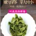 绿茶2025新茶明前春茶贵州高山茶云雾茶浓香耐泡