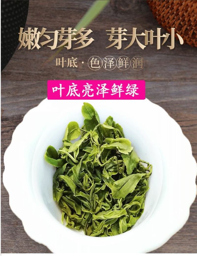 绿茶2025新茶明前春茶贵州高山茶云雾茶浓香耐泡